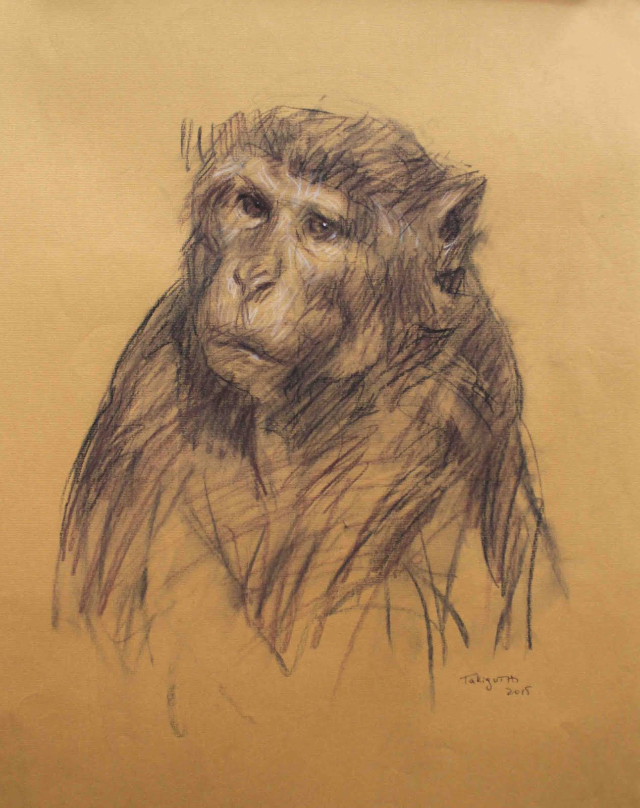 Arte Realista de Takiguthi: Gestual de macaco